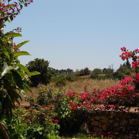 Livadaki Village Hotel Skala  Buitenkant foto