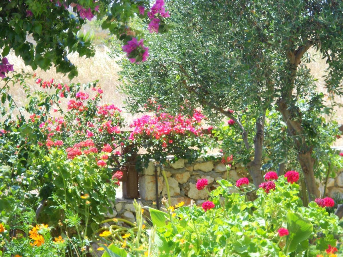 Livadaki Village Hotel Skala  Buitenkant foto