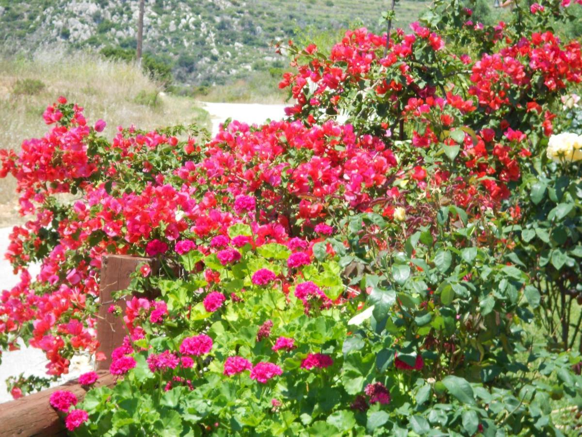Livadaki Village Hotel Skala  Buitenkant foto
